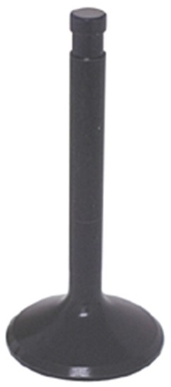 BLACK DIAMOND INTAKE VALVE BLACK DIAMOND INTAKE VALVE